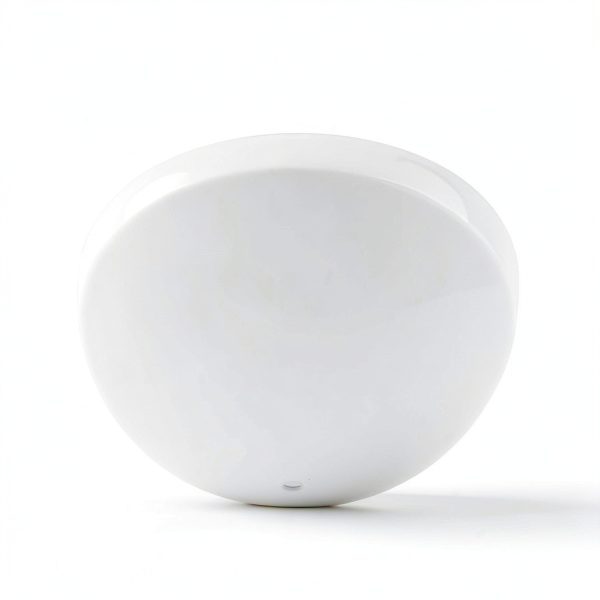 Frosted Glass Ceiling Fan Shade by LIGHTACCENTS-7